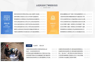 旺和招標(biāo)咨詢 專業(yè)引領(lǐng)，精準(zhǔn)服務(wù)工程招標(biāo)與商務(wù)信息咨詢